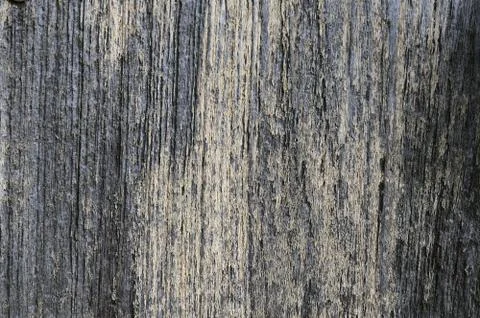 Wooden Texture Stock Photos