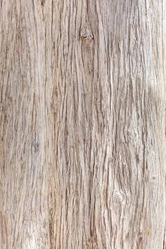 Wooden texture Stock Photos