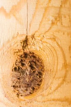 Wooden texture Stock Photos