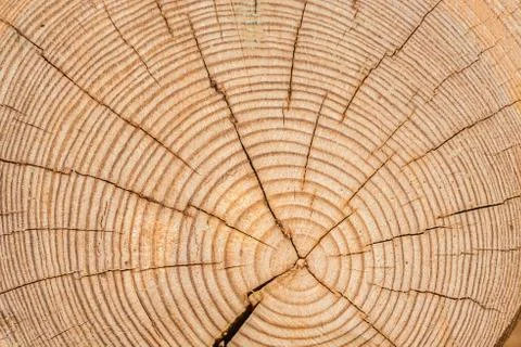 Wooden texture Stock Photos