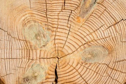 Wooden texture Stock Photos