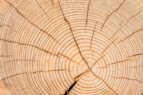 Wooden texture Stock Photos