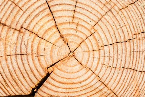Wooden texture Stock Photos