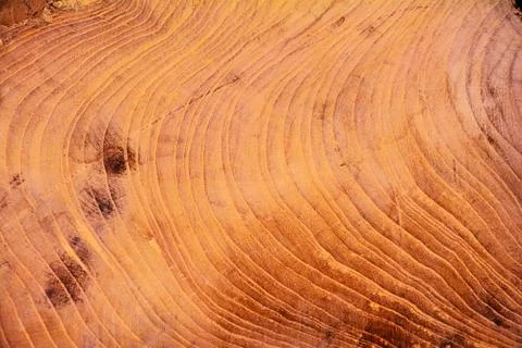 Wooden texture Stock Photos