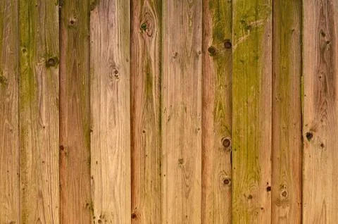 Wooden texture Stock Photos