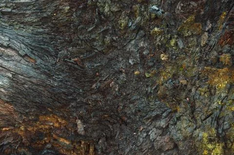 Wooden texture Stock Photos