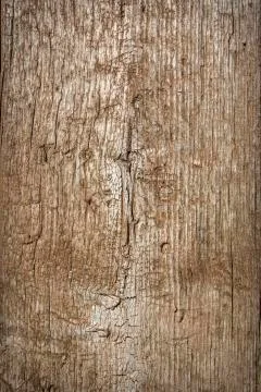 Wooden texture Foto stock