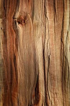 Wooden texture Stock Photos
