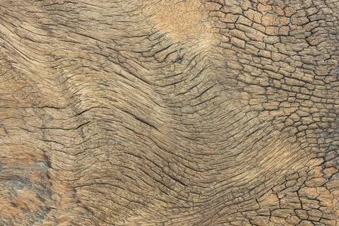 Wooden texture Stock Photos