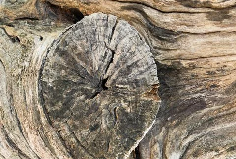 Wooden texture Stock Photos