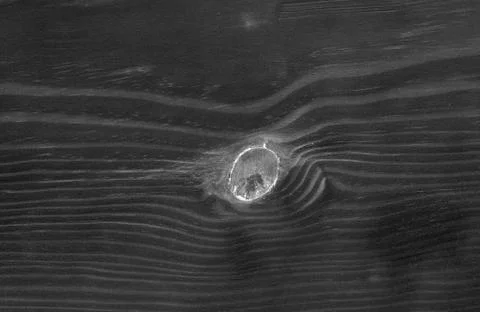 Wooden texture Stock Photos