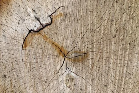 Wooden texture Stock Photos