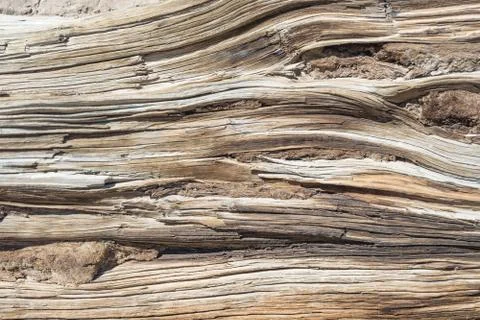 Wooden texture Foto stock