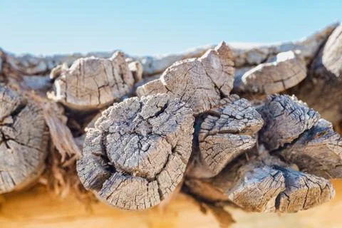 Wooden texture Foto stock