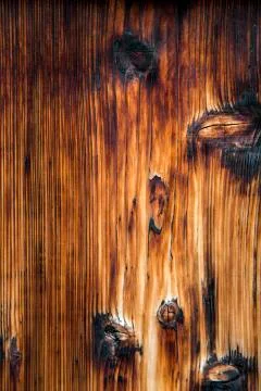 Wooden texture Stock Photos