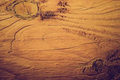 Wooden texture Stock Photos