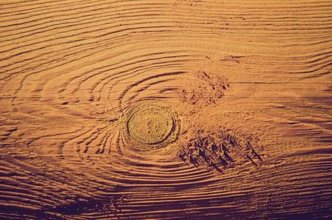 Wooden texture Stock Photos