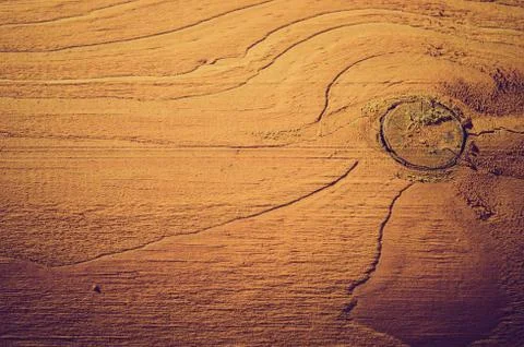 Wooden texture Stock Photos
