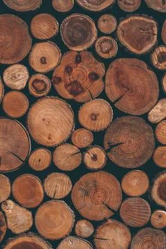 Wooden texture with pine logs Stock Photos