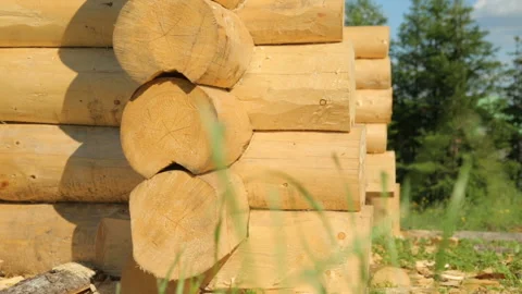 Wooden timberwork in forest Stock Footage 96012038