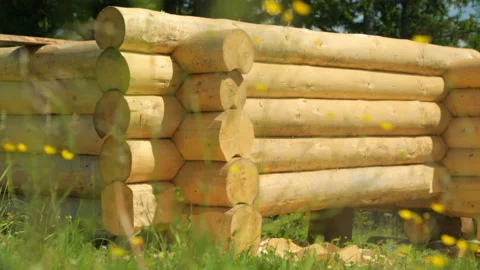 Wooden timberwork in forest Video stock 96012894
