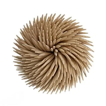 Wooden toothpicks sharp pointed small thin sticks of wood top view on white.. Stock Photos