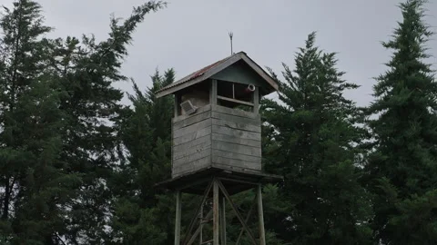 Wooden Tower in the Forest Stock Footage 288665801