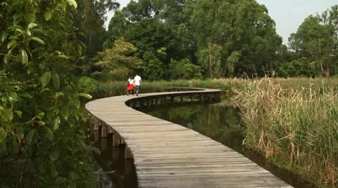 Wooden trail Stock Footage 12599683