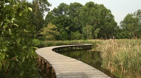 Wooden trail Stock Footage 12600003