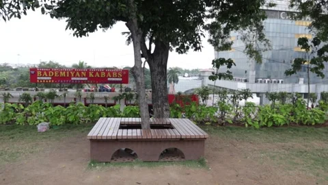 Wooden tree bench in a park Stock Footage 288830043
