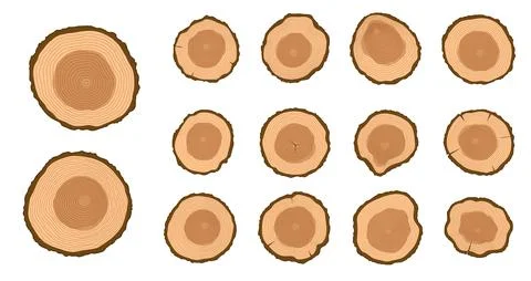 Wooden tree rings trunks, set of round log slices Stock Illustration
