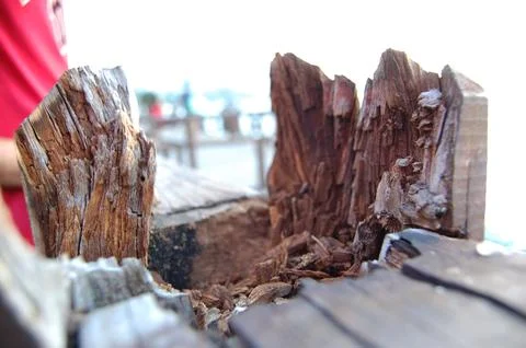 Wooden trunk on a deck destroyed by time and the force of the sea. Foto stock