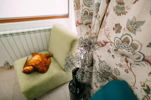 Wooden turtle. Elements of interior design Foto stock