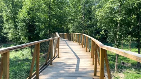 Wooden viewing forest bridge Stock Footage 246713951