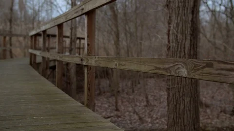 Wooden Walking Path in Forest Stock Footage 128241907