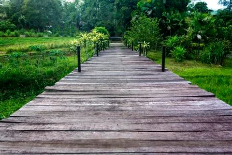 Wooden walking path Stock Photos