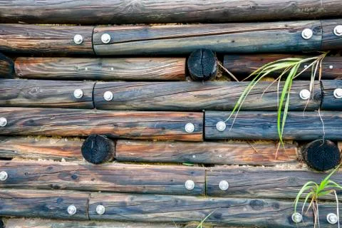 Wooden wall pattern Foto stock