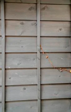 Wooden wall pattern Stock Photos