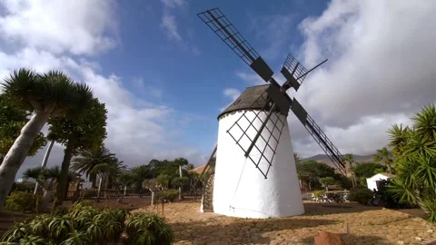 Wooden windmill in the middle of the tree garden Stock Footage 241684543