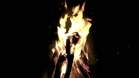 Woodfire Stock Footage 179639161