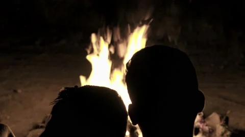 Woodfire natives Stock Footage 179639351