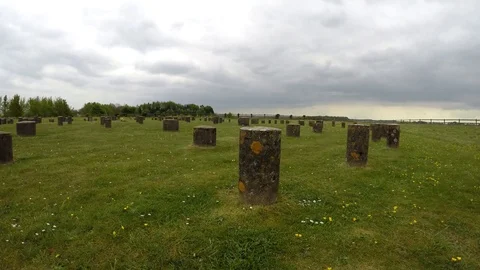 Woodhenge Stock Footage 77865192
