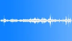 Woodland Atmosphere AtmosphereSound Effect