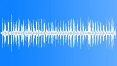 Woodland Atmosphere Busy Atmosphere Sound Effect