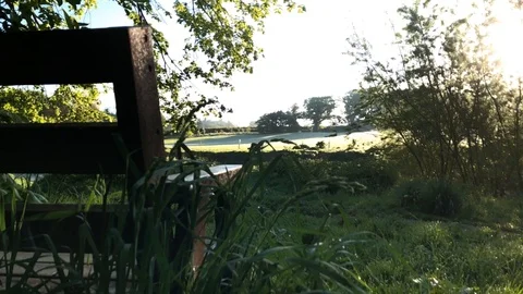 Woodland bench Stock Footage 113078347