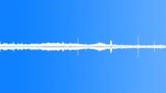Woodland Birds 1 Sound Effect