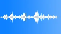 Woodland BirdsSound Effect