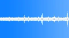 Woodland Birds Sound Effect