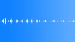 Woodland Birds With WoodpeckerSound Effect