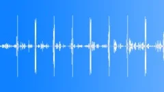 Woodland Birdsong Loop 1 Sound Effect